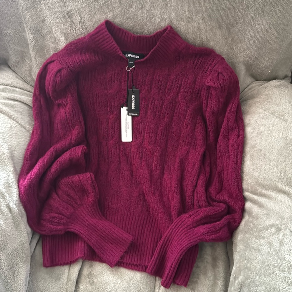 NWT Express Textured Sweater